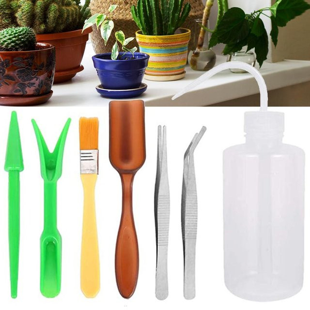 CosyHome Mini Hausgartenwerkzeug-Set für Sukkulenten in Multicolour - Bild 1