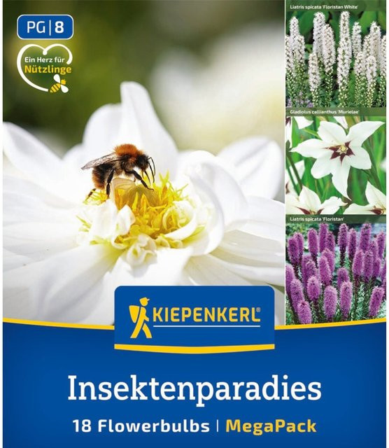 Kiepenkerl Blumenzwiebelmischung Insektenparadies, bunt, 18 Stück - Bild 1