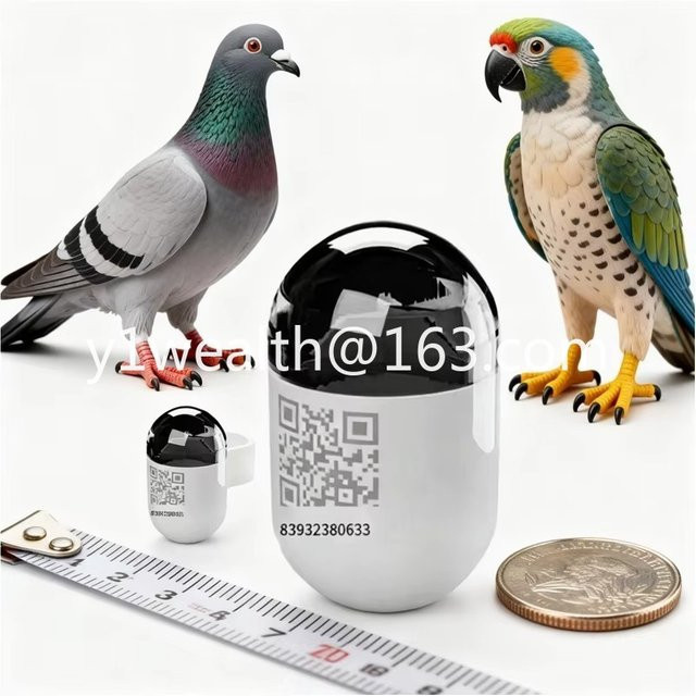PWS Mini Echtzeit-GPS-Vogelortungsgerät als wasserdichter Taubenring mit 4G-Netzwerk in Weiß - Bild 1