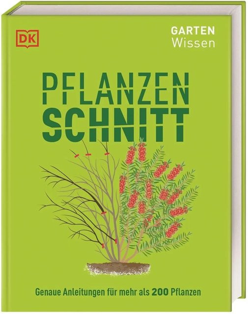 Gartenwissen Pflanzenschnitt - Bild 1