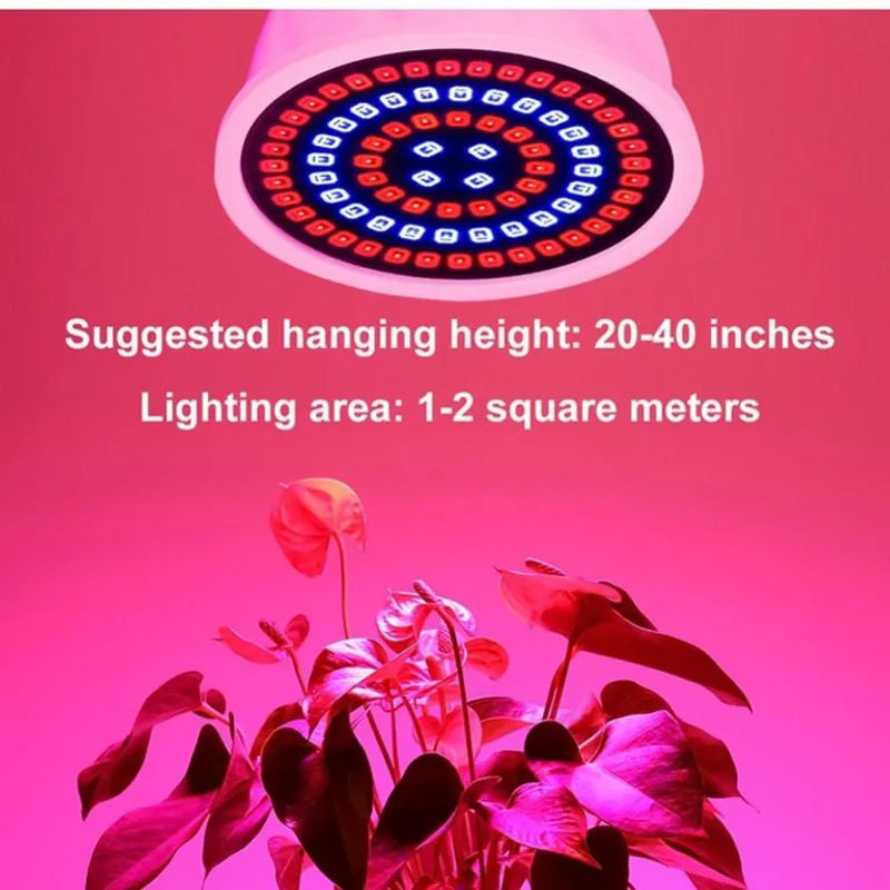 GuangZhouZhenqin 2er Set Vollspektrum LED Pflanzenwachstumslampe mit 48 LEDs und E27 sowie GU10 Fassung für Hydroponik und Grow Box, 220 V - Bild 7