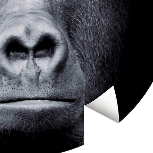 K&L Wall Art Runde Vliestapete Gorilla Safari, mehrfarbig und schwarz, mattes Mural mit Tiermotiv - Bild 2