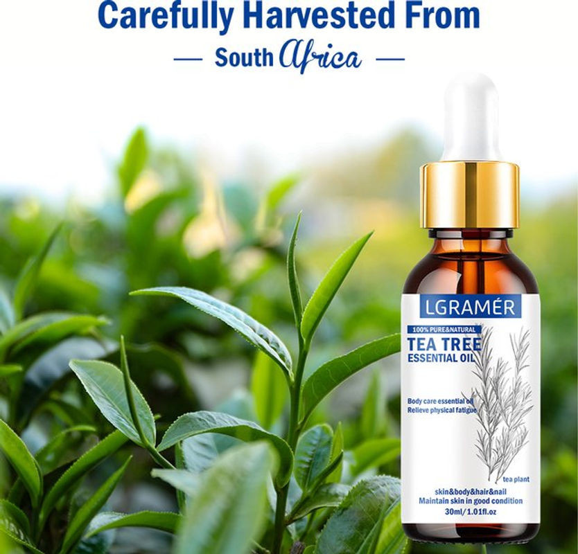 LGRAMER Ätherisches Teebaumöl, 100 % rein, Woody, 30 ml - Bild 1