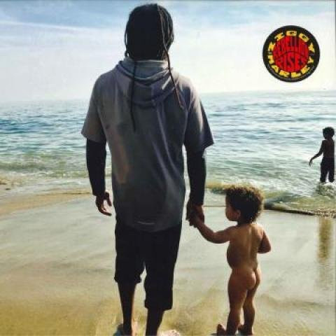 Ziggy Marley - Rebellion Rises LP Schallplatte von Tuff Gong Worldwide (2018) in Multicolor, Reggae, Ska & Dub - Bild 1