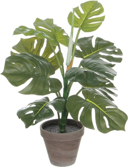 Mica Decorations Kunstpflanze Monstera in Grün, Höhe: 48 cm, Durchmesser: 39 cm - Bild 1