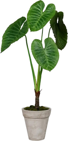 Künstliche Alocasia Benno von Aplanta, grüner Kunstbaum, Höhe: 175 cm
