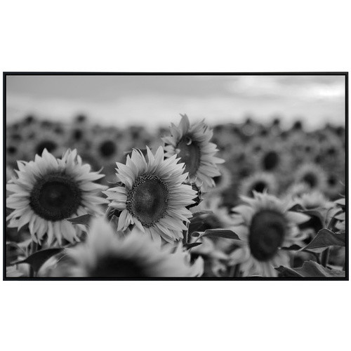 papermoon EcoHeat Infrarotheizung Sonnenblumen Schwarz Weiss Matt-Effekt mit App-Steuerung und Überhitzungsschutz - Bild 2