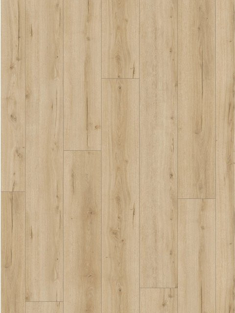 Parador Laminatbodenmuster Trendtime 6 Eiche Loft Pure Hellbraun - Bild 1