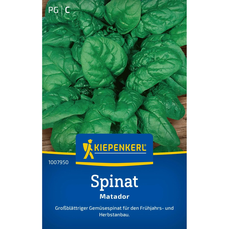 Kiepenkerl Spinat Matador Sorte für Frühjahr und Herbst - Bild 2