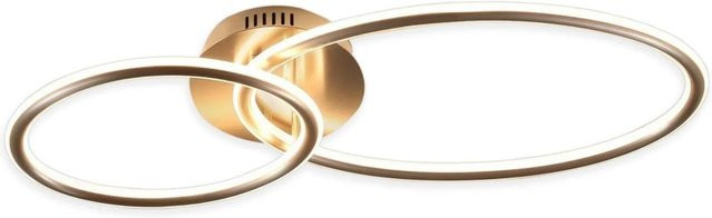 NETTLIFE LED Deckenleuchte L63 in Silber aus Metall im modernen Ring-Design - Bild 1
