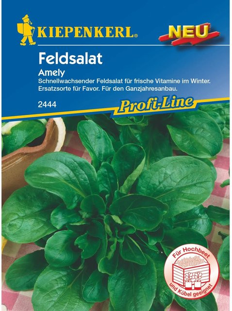 Kiepenkerl Feldsalat Amely Gemüsesamen für Frühjahr, Sommer, Herbst und Winter - Bild 1
