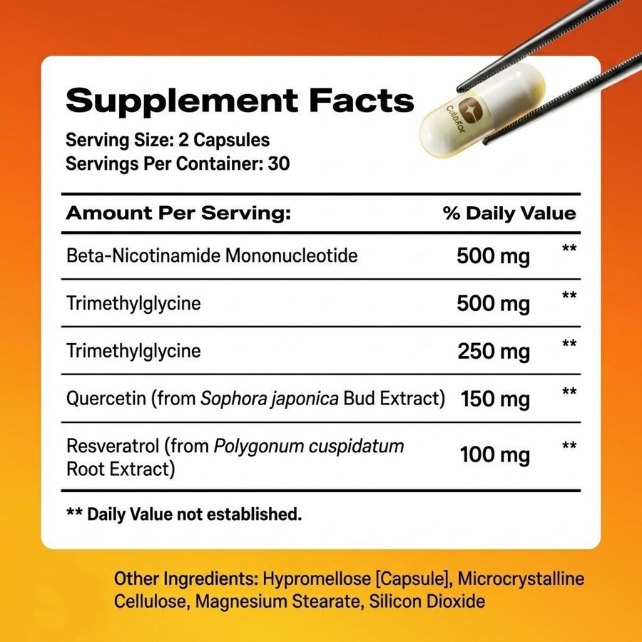VitalityVault NMN Nahrungsergänzung, 1000 mg, Unisex - Bild 4