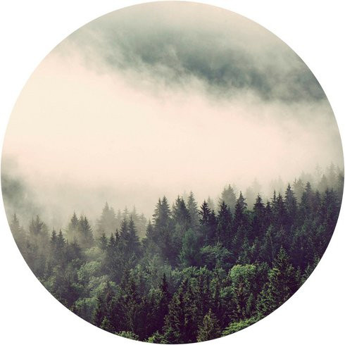 K&L Wall Art Runde Vliestapete Nebel Wald Tannenwald Natur, mehrfarbig, matt, B: 236 cm, H: 236 cm - Bild 1