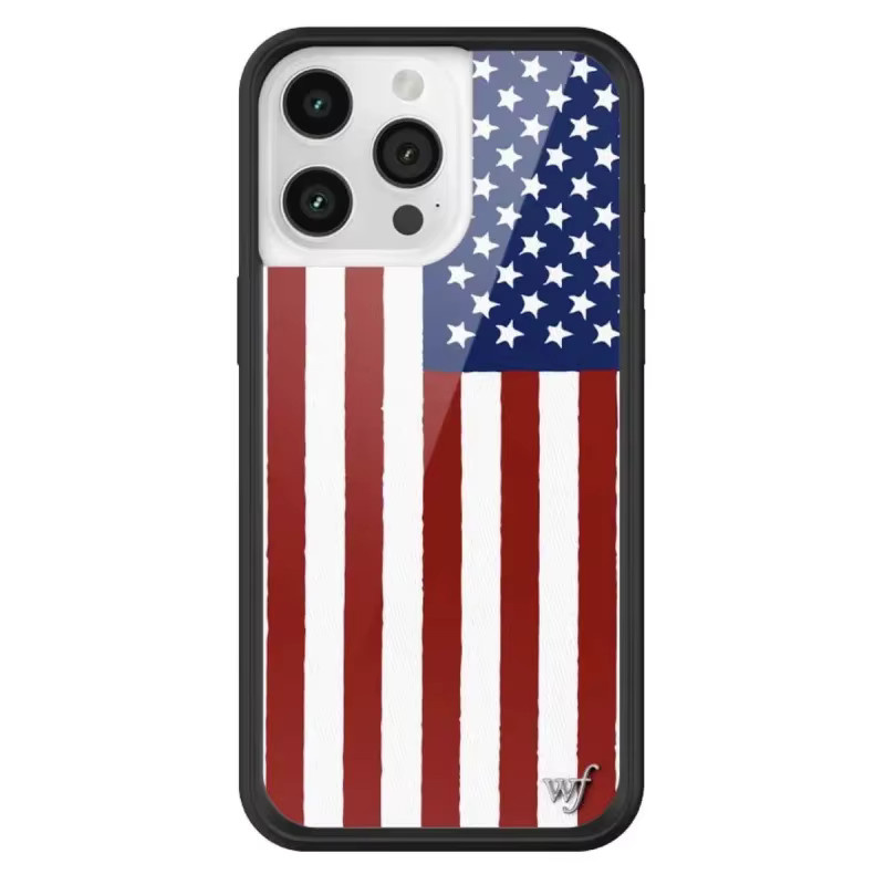 Wildflower Handyhülle mit amerikanischer Flagge Old Glory Sterne und Streifen für iPhone 17 16 15 14 13 12 Pro Max Plus, Multicolor - Bild 2
