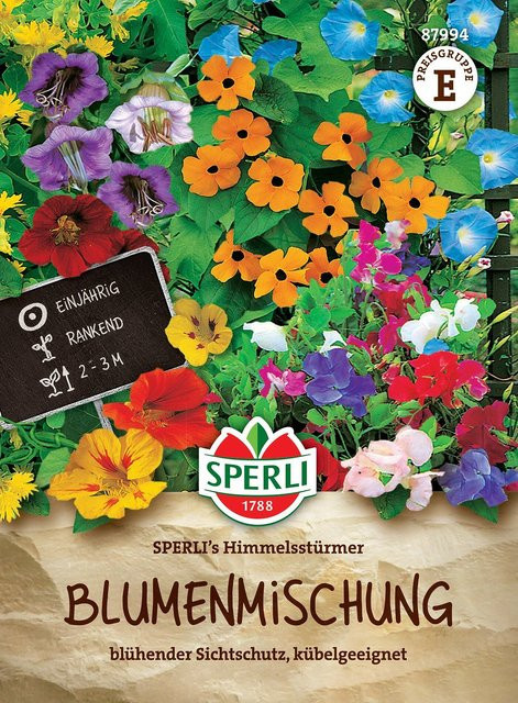SPERLI Blumensamen Himmelsstürmer Kletterpflanzen Mehrfarbig - Bild 1