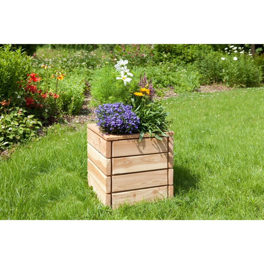 Kiehn-Holz Massiv-Pflanzkasten aus Lärche Holz unbehandelt beige B/T/H: 40 x 40 x 43 cm - Bild 2