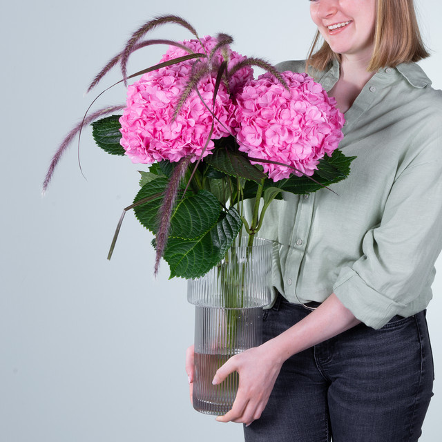 BLUME2000 Hortensien rosa Bunch - Bild 1