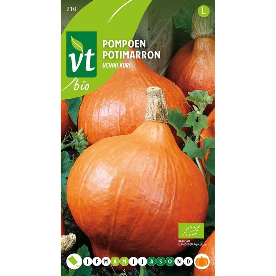 Arborix Bio Uchiki Kuri Kürbis Samen, 2 g - Bild 2
