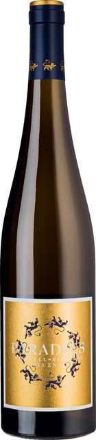 Korrell Kreuznacher Paradies Riesling Trocken 2023 Weißwein 0,75 l - Bild 1
