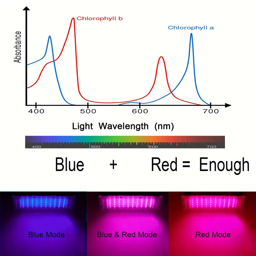 Wachstumslicht für Zimmerpflanzen mit Vollspektrum-LED, automatischem Timer und verstellbarem Stativständer in Schwarz - Bild 3