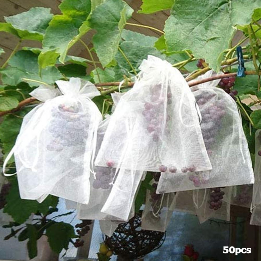 YC Direct Pflanzenschutz Netze für Obst und Gemüse, 50 Stück, Rot, Breite: 10 cm, Höhe: 15 cm - Bild 6