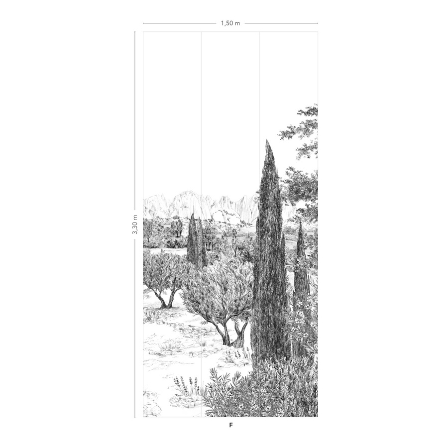 Isidore Leroy Mural Provence Grisaille Wandtattoo mit floralem Vintage-Design in Grau, B/H: 330 x 150 cm - Bild 1