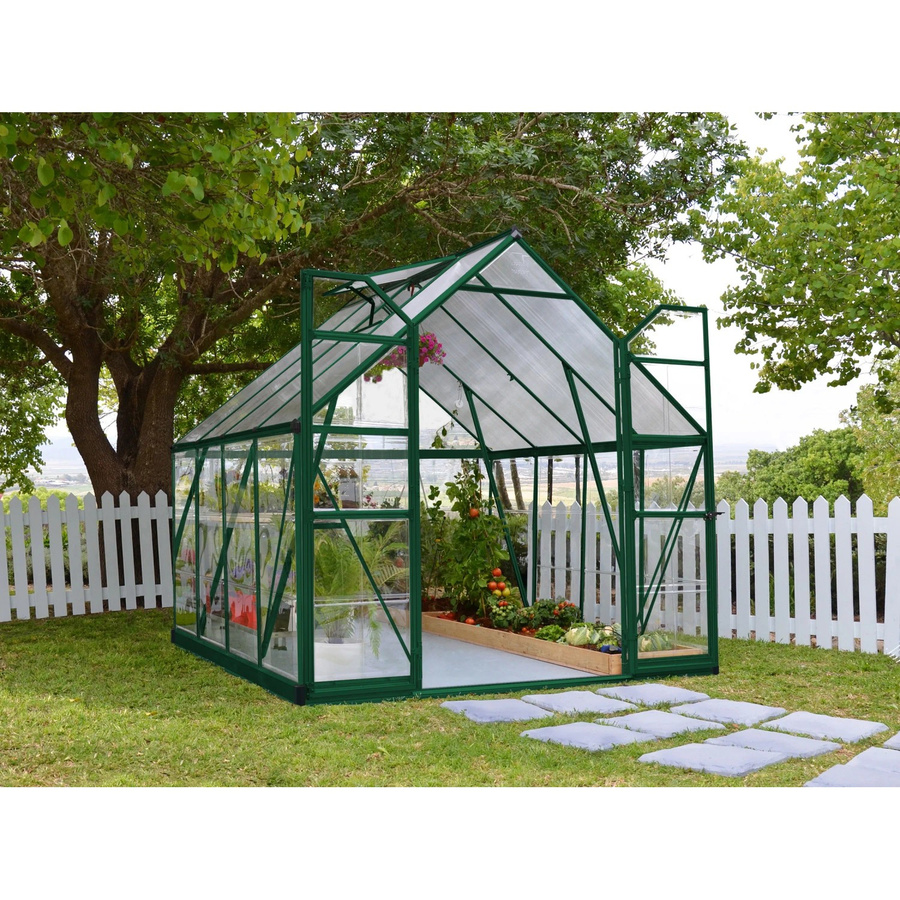 Palram Canopia Balance 8x8 Gewächshaus in Grün mit Polycarbonat-Seitenwänden und Dachfenster, B: 247 cm, H: 244 cm - Bild 2