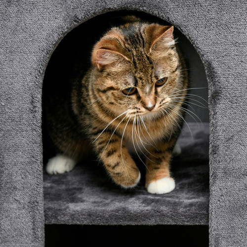 PawHut Kratztonne für Katzen in Grau mit 2 Katzenhöhlen, 2 Ebenen und Sisal-Kratzmatte aus Plüsch, B/T/H: 45 x 45 x 81 cm - Bild 9
