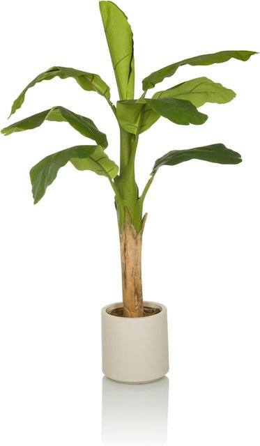 hjh OFFICE Kunstpflanze Banane in Grün aus Kunststoff - Bild 1