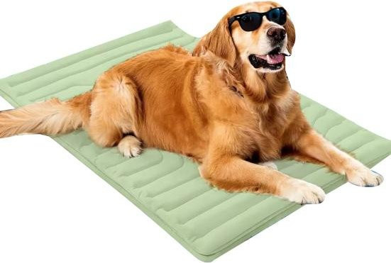 Beautiful Kingdom Kühlmatte für Hunde und Katzen, atmungsaktive Kühlende Decke in Grün - Bild 1