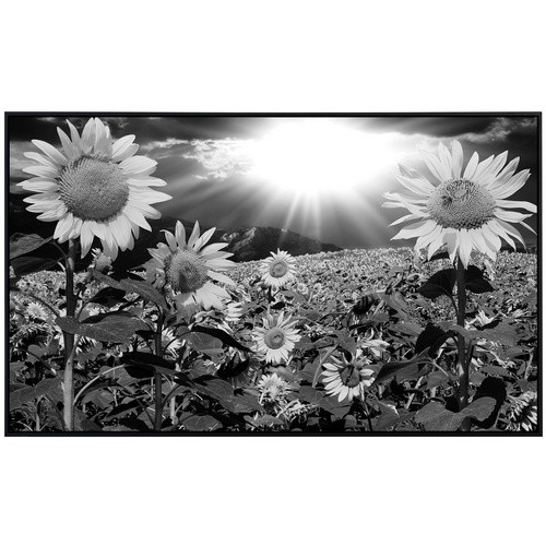 papermoon EcoHeat Infrarotheizung Pusteblume Schwarz Weiss Matt-Effekt mit App-Steuerung und WLAN - Bild 2