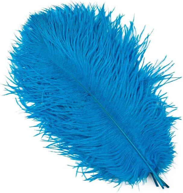 10 Stück natürliche gefärbte Straußenfedern in See-Blau für deine DIY-Dekoration, Länge: 25-30 cm bis 30-35 cm - Bild 1