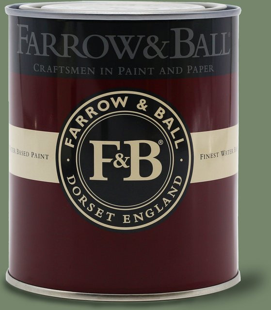 Farrow & Ball Exterior Masonry Putzfarbe Calke Green 34 Matt 5 l - Bild 1