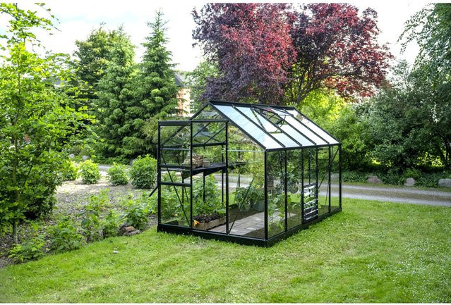 Halls Gewächshaus Popular Schwarz 6,2 m² mit 3 mm Sicherheitsglas - Bild 1