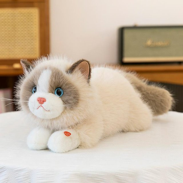 Ragdoll Katze Plüschtier, Bunt / Mehrfarbig, 45cm - Bild 1