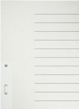 LEITZ Papier-Register A4 für Hängeordner grau blanko 20 Blätter Nr. 6096 - Bild 1