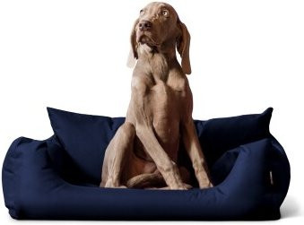 Tierlando NEMO Hundebett Hundesofa in Dunkelblau mit abnehmbarem Bezug und erhöhter Kante, B/T/H: 65 x 80 x 20 cm - Bild 1