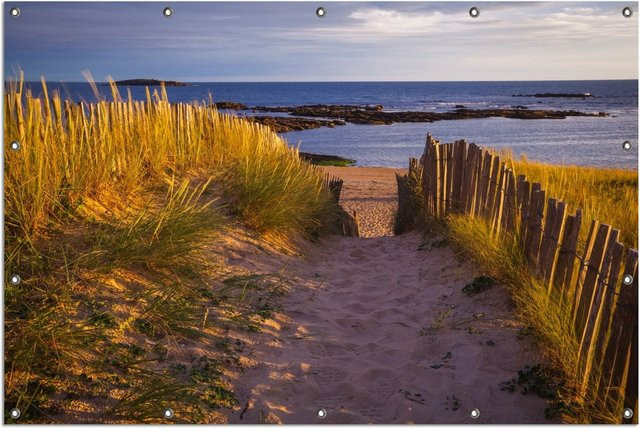 Wallario Gartenposter Weg durch die Dünen zum Meer an der Küste, Mehrfarbig, B: 100 cm, H: 150 cm - Bild 1
