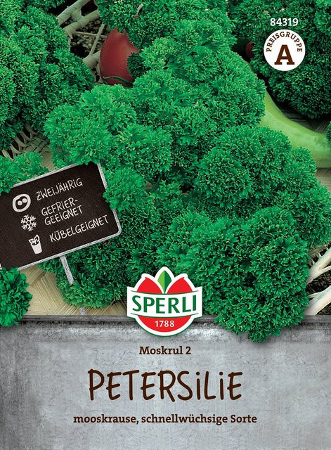 SPERLI Petersilien-Samen Moskrul 2 für Kräutergarten und Zimmerpflanzen - Bild 1