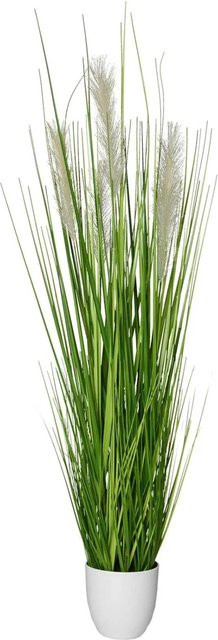 Vivanno Kunstpflanze Pampas Gras in Grün, B/T/H: 40 x 27 x 120 cm - Bild 1