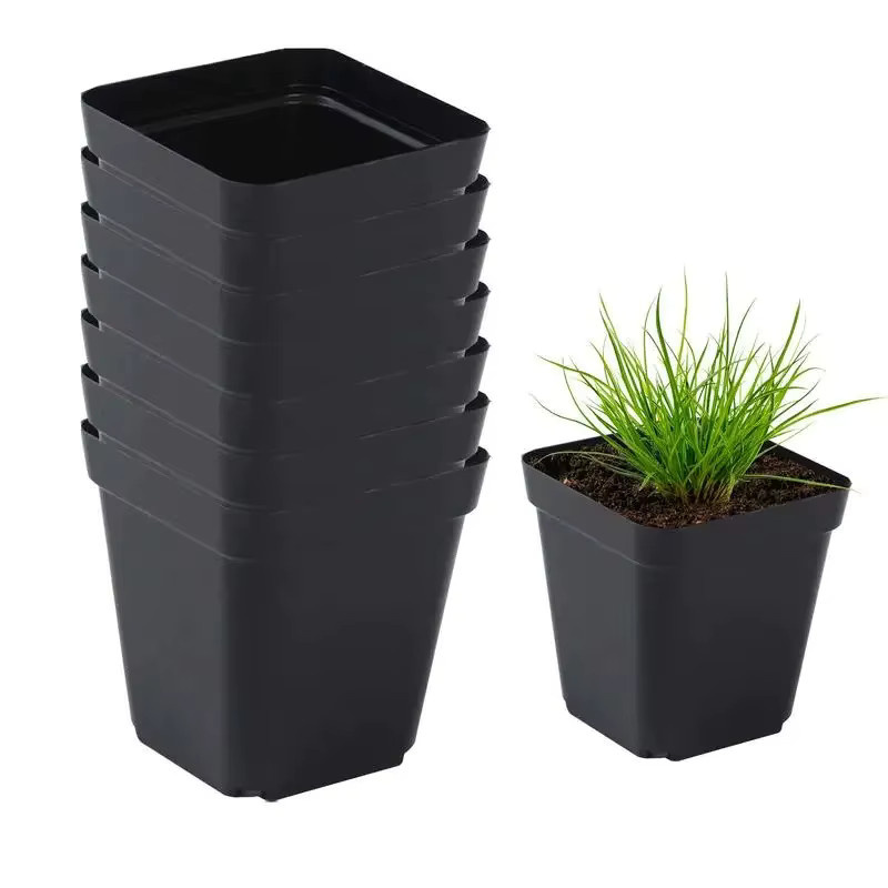 50 Stück quadratische Starter-Töpfe aus Kunststoff in Schwarz für Pflanzen und Sämlinge, B/T/H: 7 x 7 x 7 cm - Bild 6