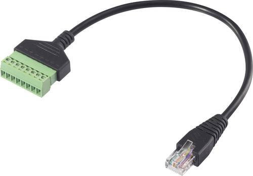 Renkforce RJ45 Netzwerk Adapterkabel Ethernet LAN Schwarz, Länge: 30 cm - Bild 1
