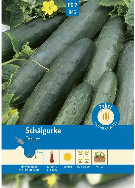 Pabst Keimkraft Schälgurke Fatum Saatgut Grün & Lang - Bild 1