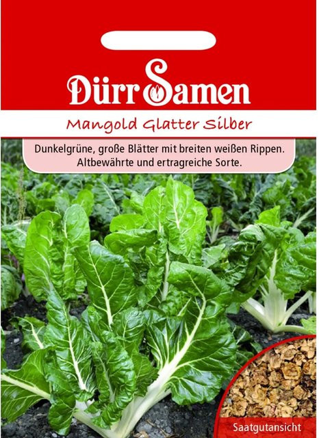 Dürr Glatter Mangold Silber Saatgut 10 g - Bild 1