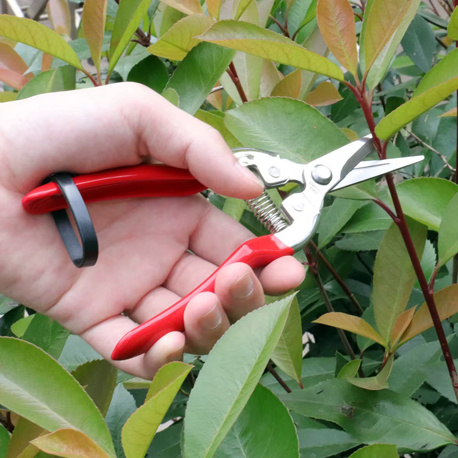 Professionelle Gartenschere in Rot für Bonsai, Obst und Bäume - Bild 2