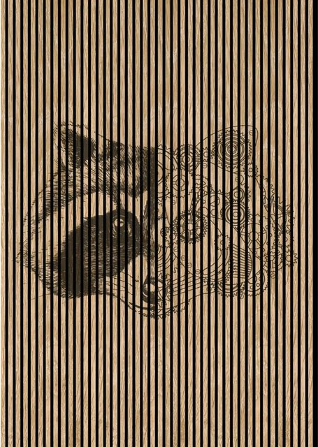 FN Acustico Akustikplatte Raccoon in Bunt aus PET und MDF mit modernem Design, H x B x T: 2.400 x 1.693 x 19 mm - Bild 1