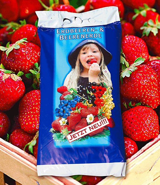 Spezial-Erdbeer- & Beeren-Erde, 15 Liter - Bild 1