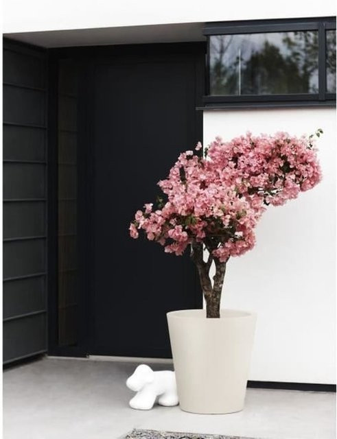 ELHO GIVE Room To Nature Blumentopf Pure Straight Round 50 in Weiß für Innen- und Außenbereich B: 49,5 cm, T: 49,5 cm, H: 51 cm - Bild 1