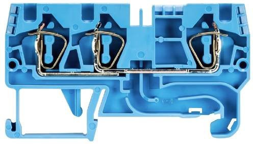 Wieland Electric Durchgangsklemme 56.704.5055.6 mit Federzuganschluss in Blau, 100 Stück - Bild 1