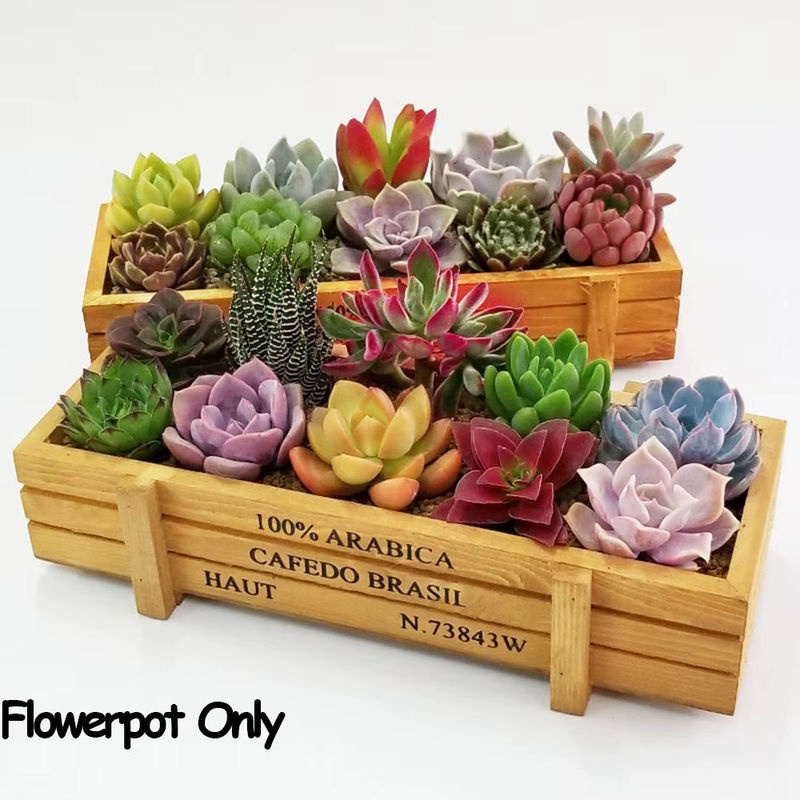 Vintage Holz-Blumentopf in Rechteckform für Sukkulenten und Garten-Dekoration, Grün und Braun - Bild 6